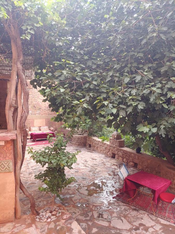 Homestay Atlas Berbere Boumalne Dades